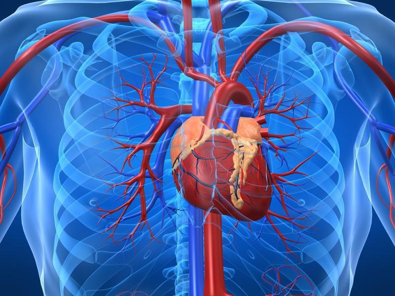 ما هي جراحه القلب المفتوح ؟